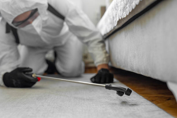 Professional Termite Control technician working in Larksville, PA
