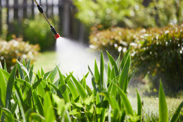 24/7 Emergency Termite Control experts in Larksville, PA