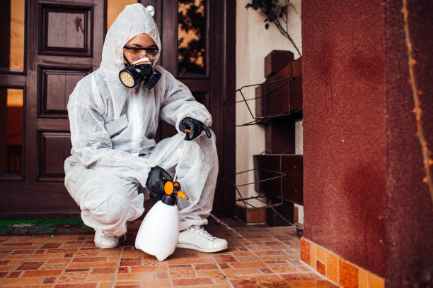 Reliable Termite Control contractor in Larksville, PA by Nex Pest Control